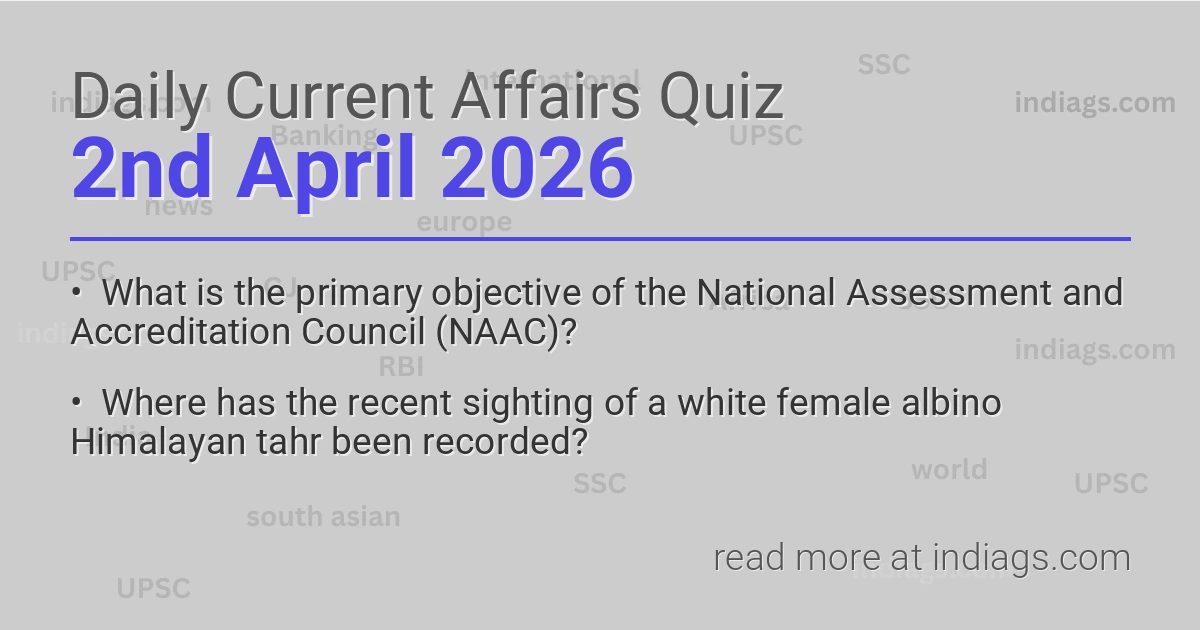 Daily Quiz