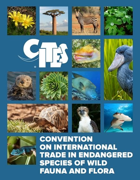 Convention-on-International-Trade-in-Endangered-Species-of-Wild-Fauna-and-Flora-(CITES)-Agreement-2024